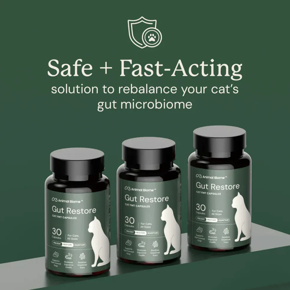 Kitty Biome Gut Restore Supplement FMT Capsules for Cats