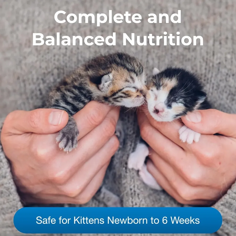 KMR Kitten Milk Replacer Powder