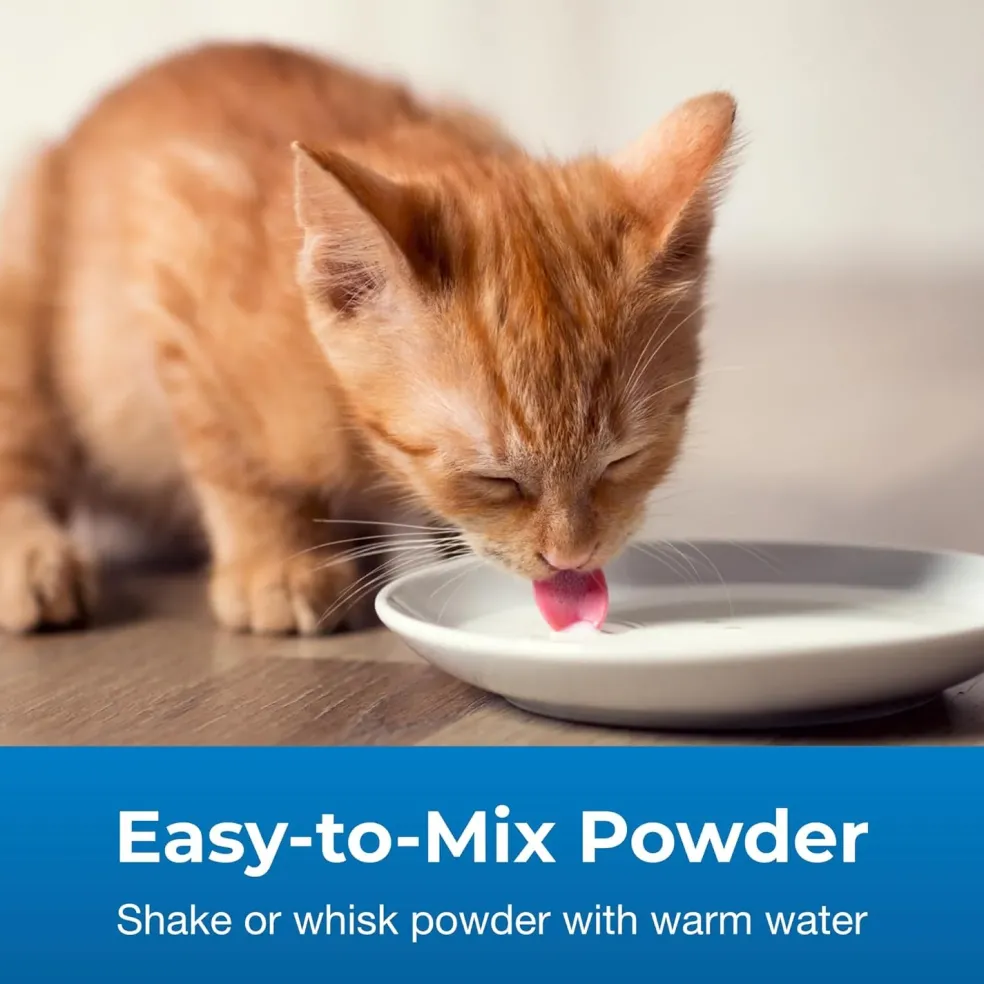 KMR 2nd Step Kitten Weaning Food (14 oz)