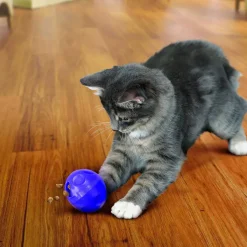 KONG Active Treat Ball for Cats