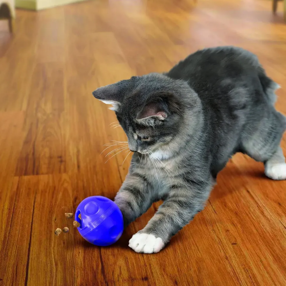 KONG Active Treat Ball for Cats