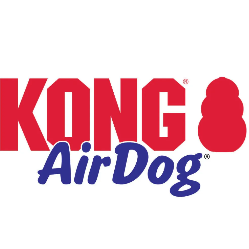 Kong AirDog Squeaker Bone Dog Toy