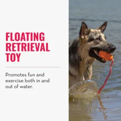 KONG Aqua Floating Dog Toy, Large