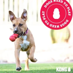 KONG Aqua Floating Dog Toy, Large