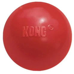 Kong Ball Fetch Toy For Dogs