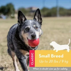Kong Ball Fetch Toy For Dogs