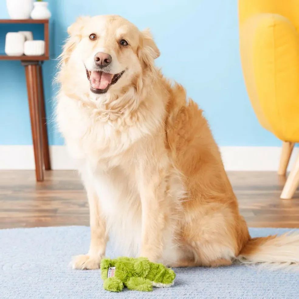 Kong Cozie Ali Alligator Squeaky Plush Toy For Dogs