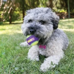 Kong Crunch Air Balls Chew Toy For Dogs