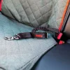 KONG Deluxe Swivel Tether Dog Safety Belt, Black & Red
