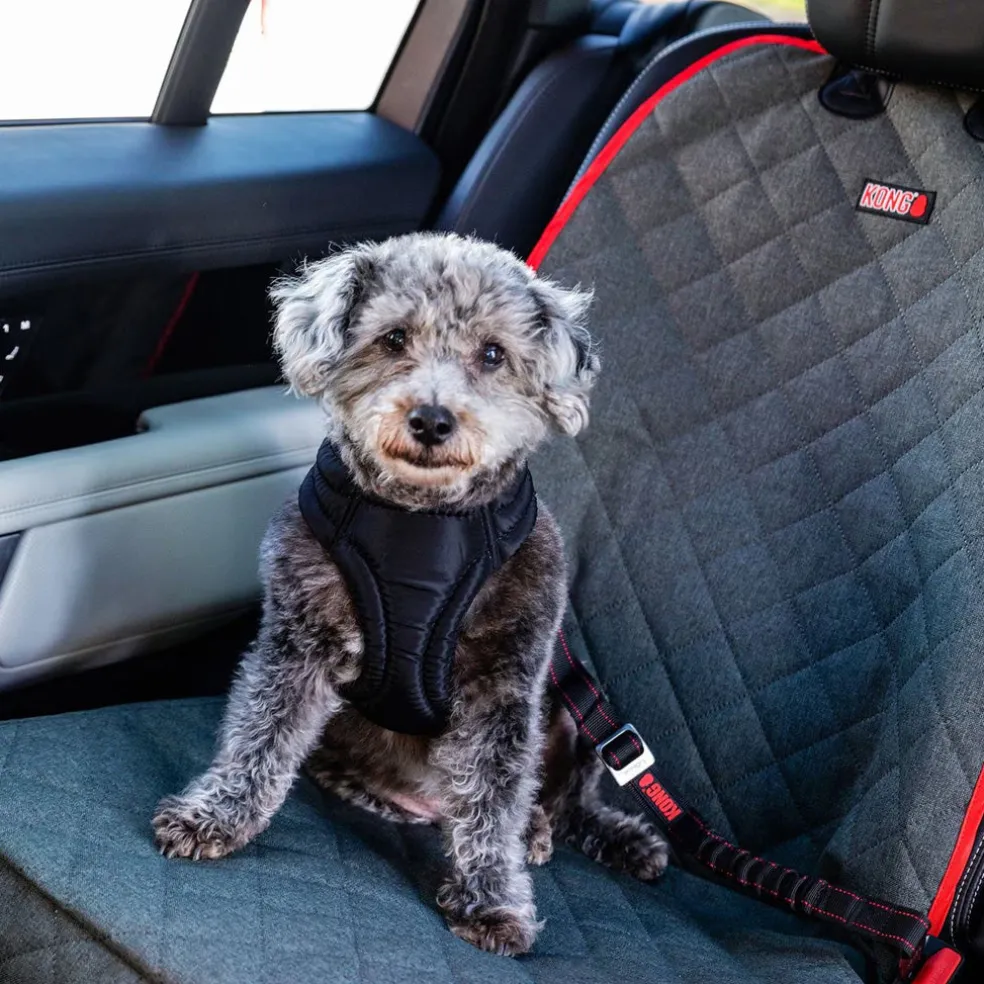 KONG Deluxe Swivel Tether Dog Safety Belt, Black & Red