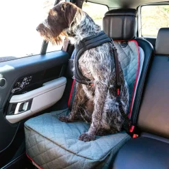 KONG Deluxe Swivel Tether Dog Safety Belt, Black & Red