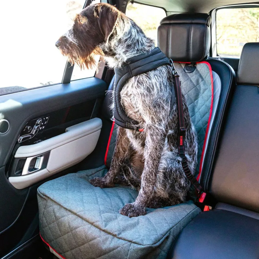 KONG Deluxe Swivel Tether Dog Safety Belt, Black & Red