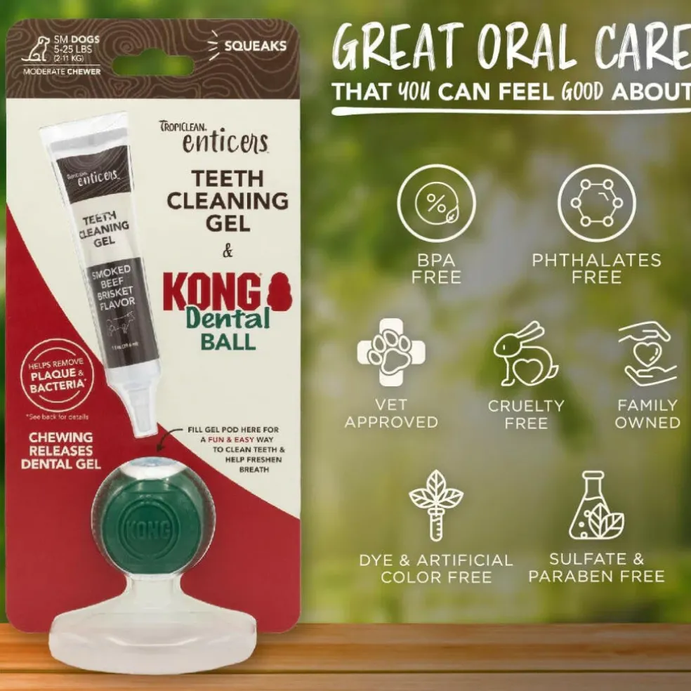 Kong Dental Ball with Tropiclean Enticer Teeth Cleaning Gel