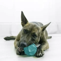 Kong Dental Squeezz Ball Chew Toy For Dogs (Medium)