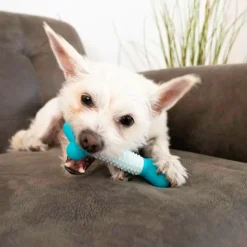 KONG Duets Dental Stick Toy for Small Dogs