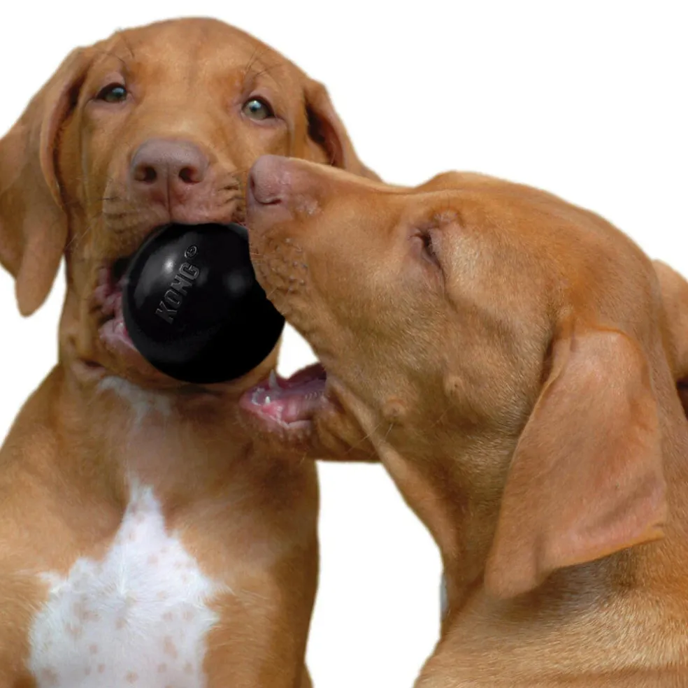Kong Extreme Ball Toy For Dogs