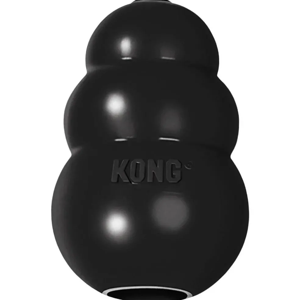 Kong Extreme Fetch & Chew Dog Toy for Aggressive Dogs
