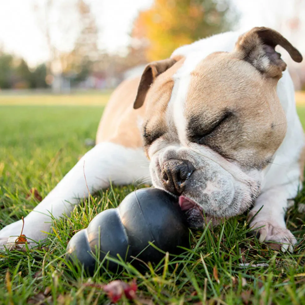 Kong Extreme Fetch & Chew Dog Toy for Aggressive Dogs