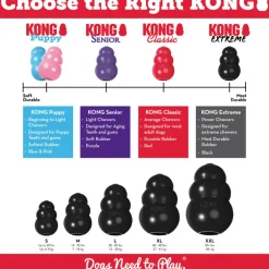 Kong Extreme Fetch & Chew Dog Toy for Aggressive Dogs
