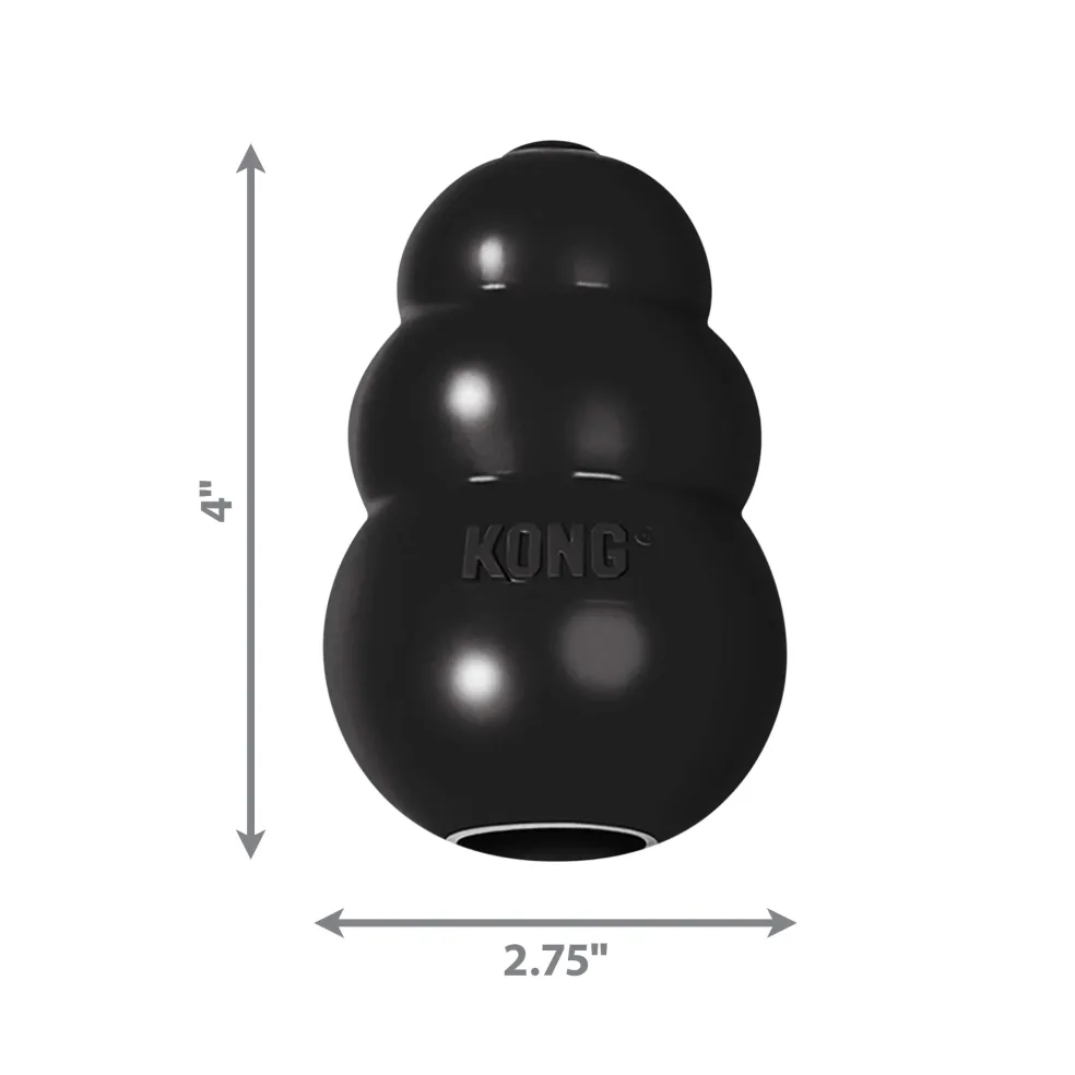 Kong Extreme Fetch & Chew Dog Toy for Aggressive Dogs