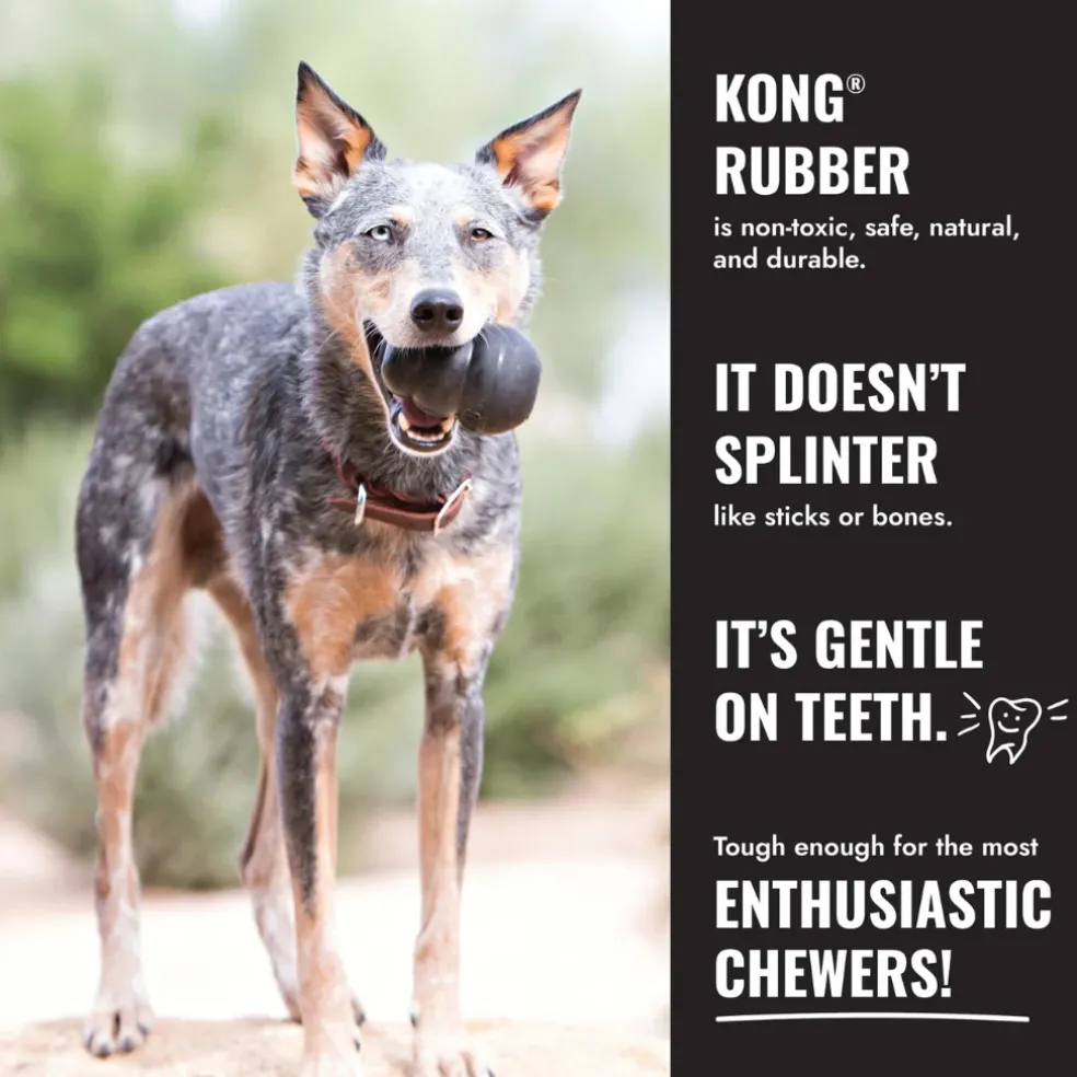 KONG Extreme Flyer