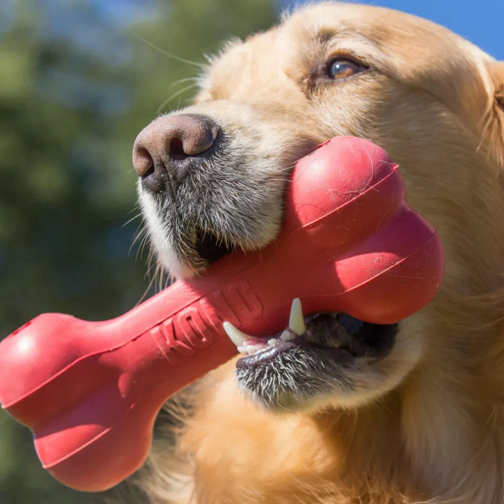 Kong Goodie Bone Toy For Dogs