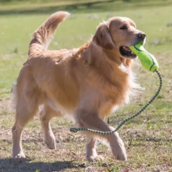 KONG Holiday AirDogs Squeaker Stick Toy For Dogs - Large