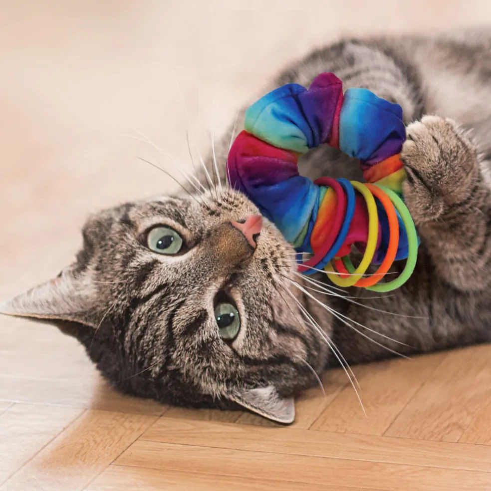 KONG Holiday Cat Active Scrunchie Toy For Cats