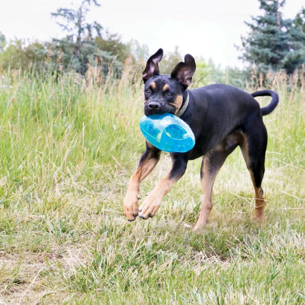 Kong Jumbler Football Toy For Dogs (color varies), Large/X-Large