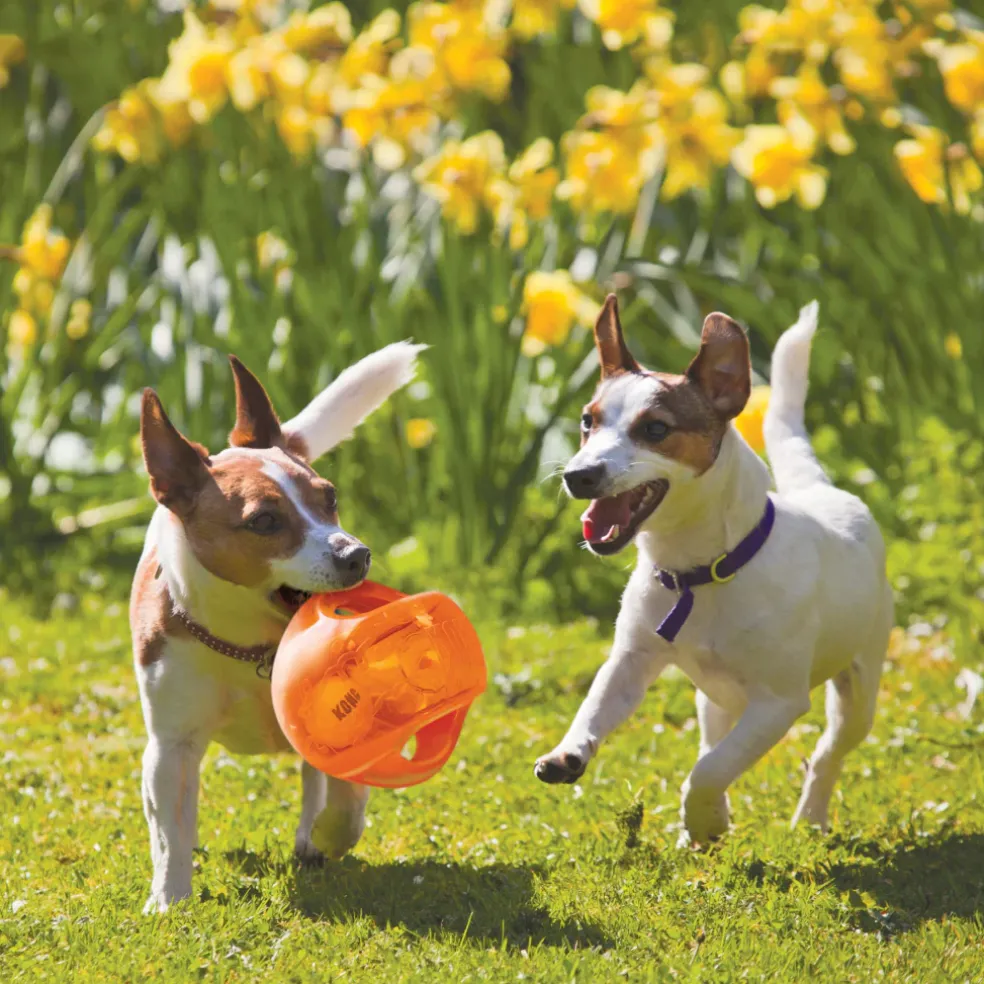 Kong Jumbler Toy Ball For Dogs (color varies)