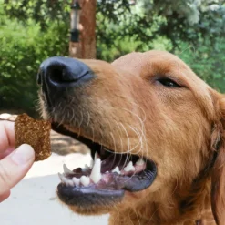 Kong Kitchen Good Hare Day Grain-Free Rabbit & Sweet Potato Treats For Dogs (5 oz)