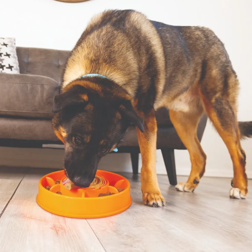KONG Licks Mealtime Treat Toy & Slow Feeder For Dogs