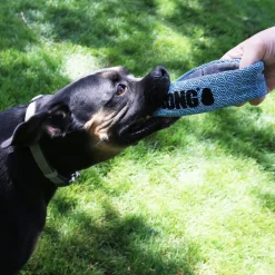 Kong Maxx Ring Toy For Dogs
