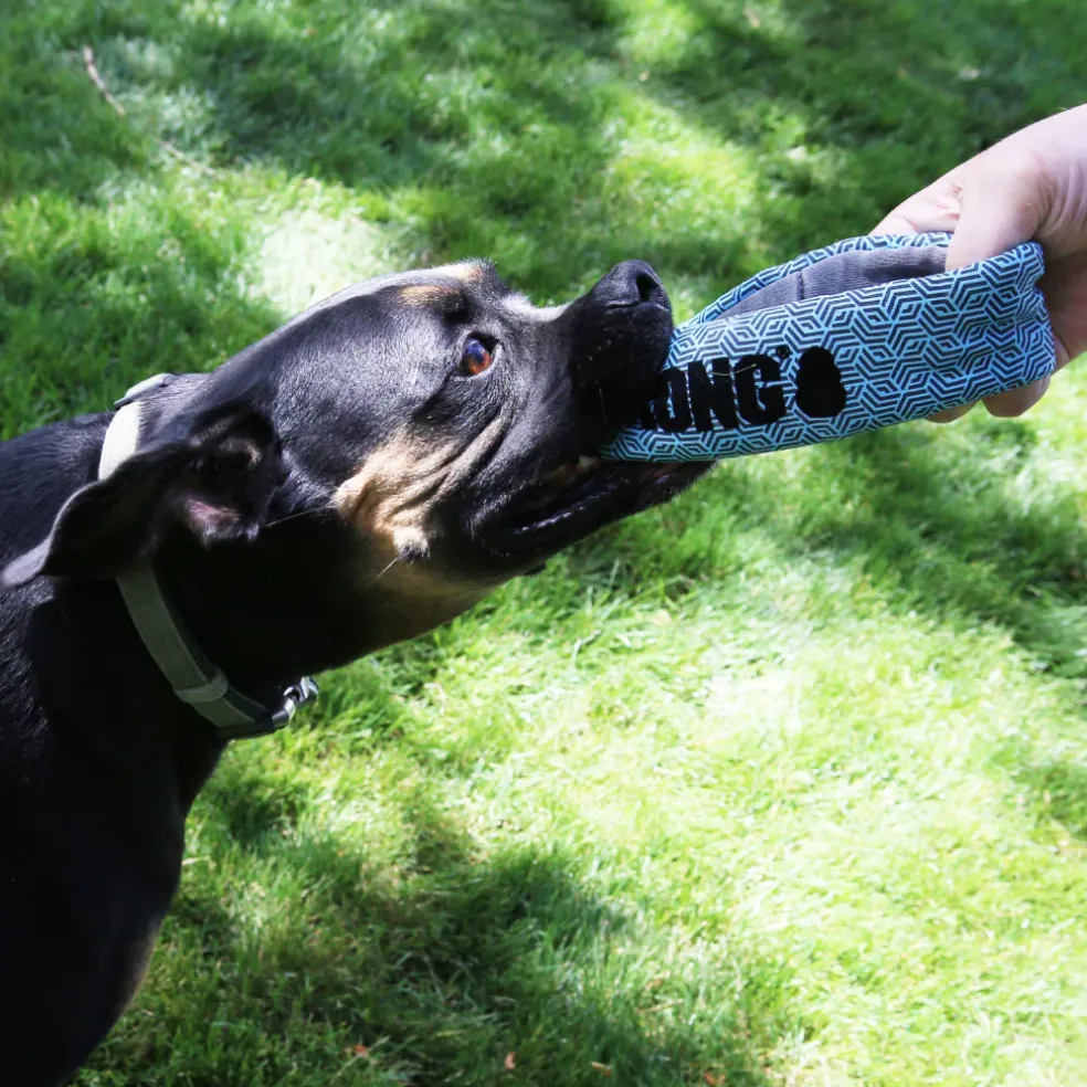 Kong Maxx Ring Toy For Dogs