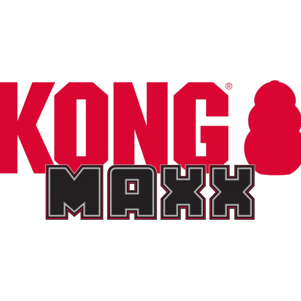 Kong Maxx Ring Toy For Dogs