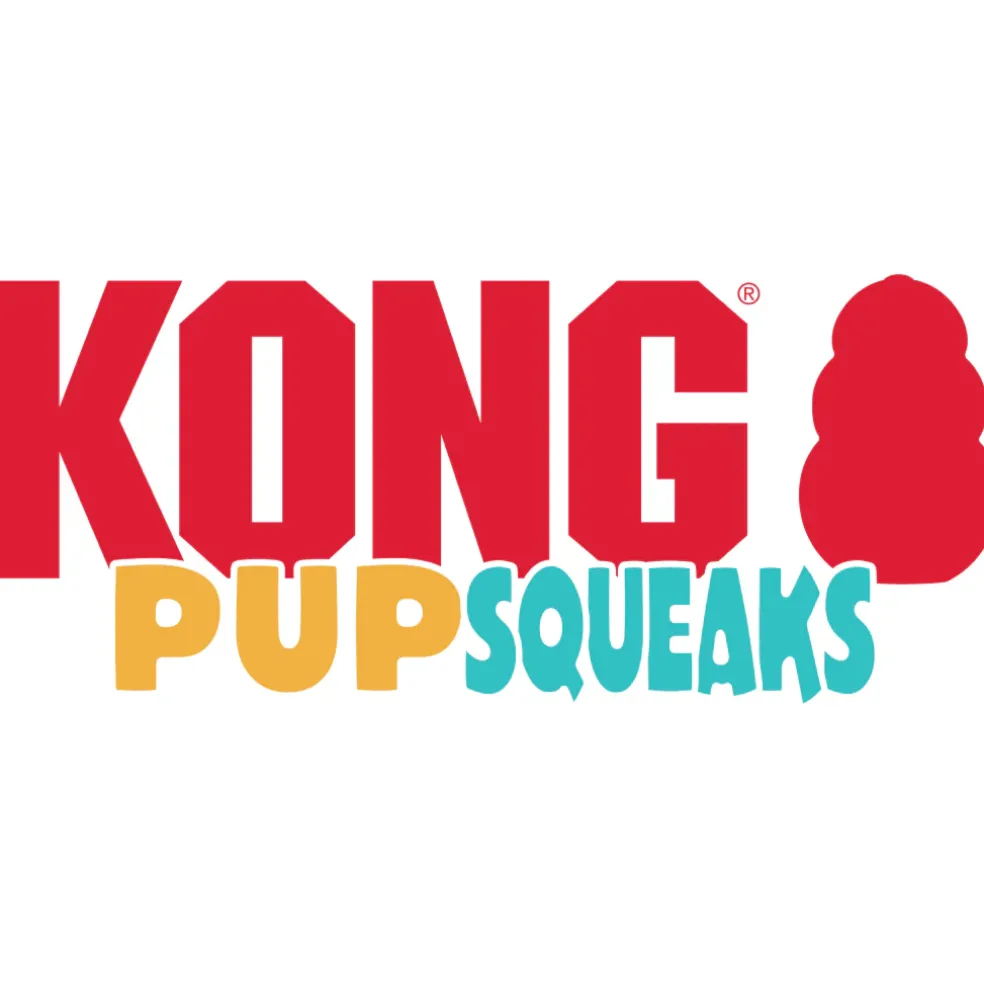 Kong PupSqueaks Daisy Toy For Dogs