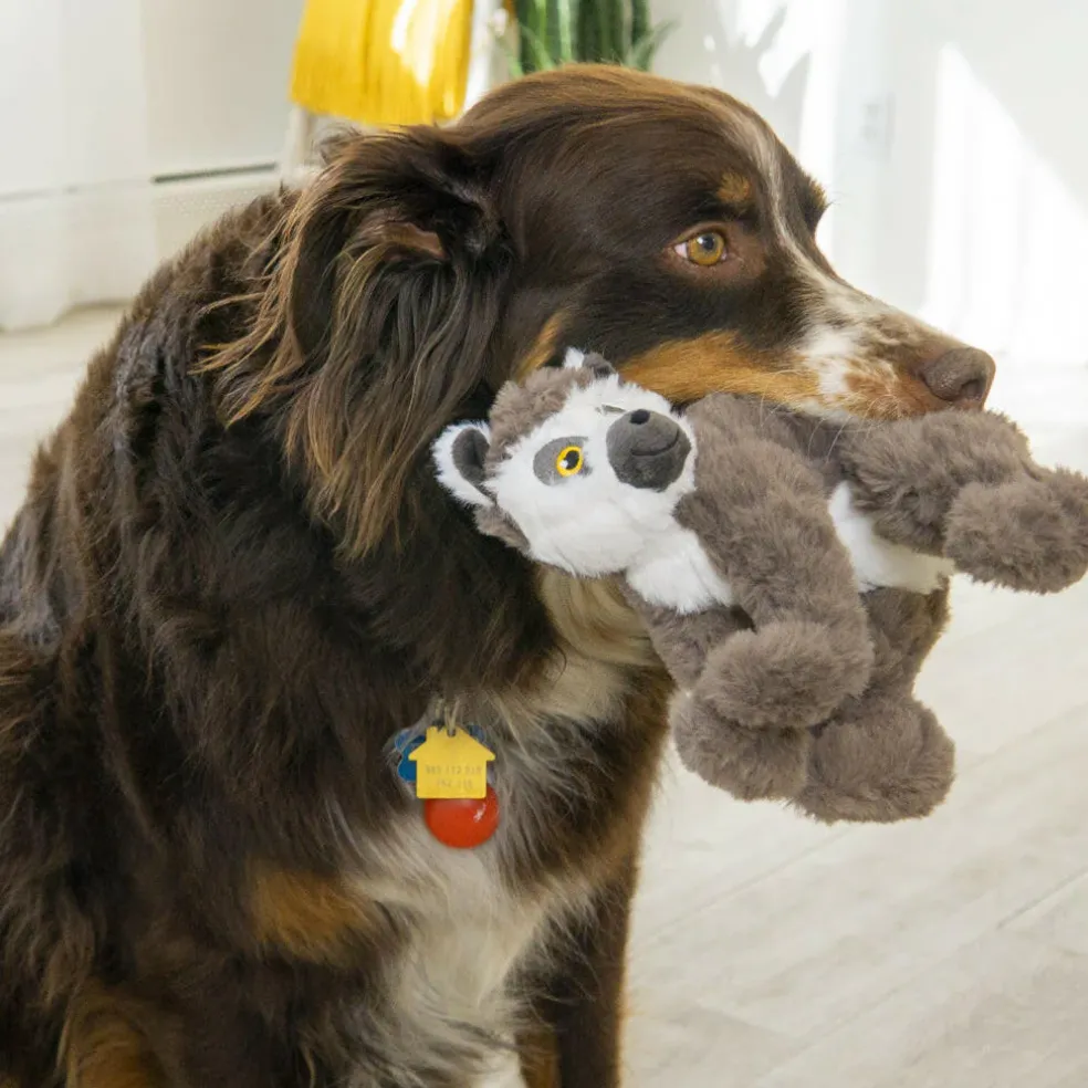 Kong Scampers Squeaky Toy For Dogs -Lemur (Medium)