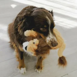 Kong Scampers Squeaky Toy For Dogs Toy- Lion (Medium)