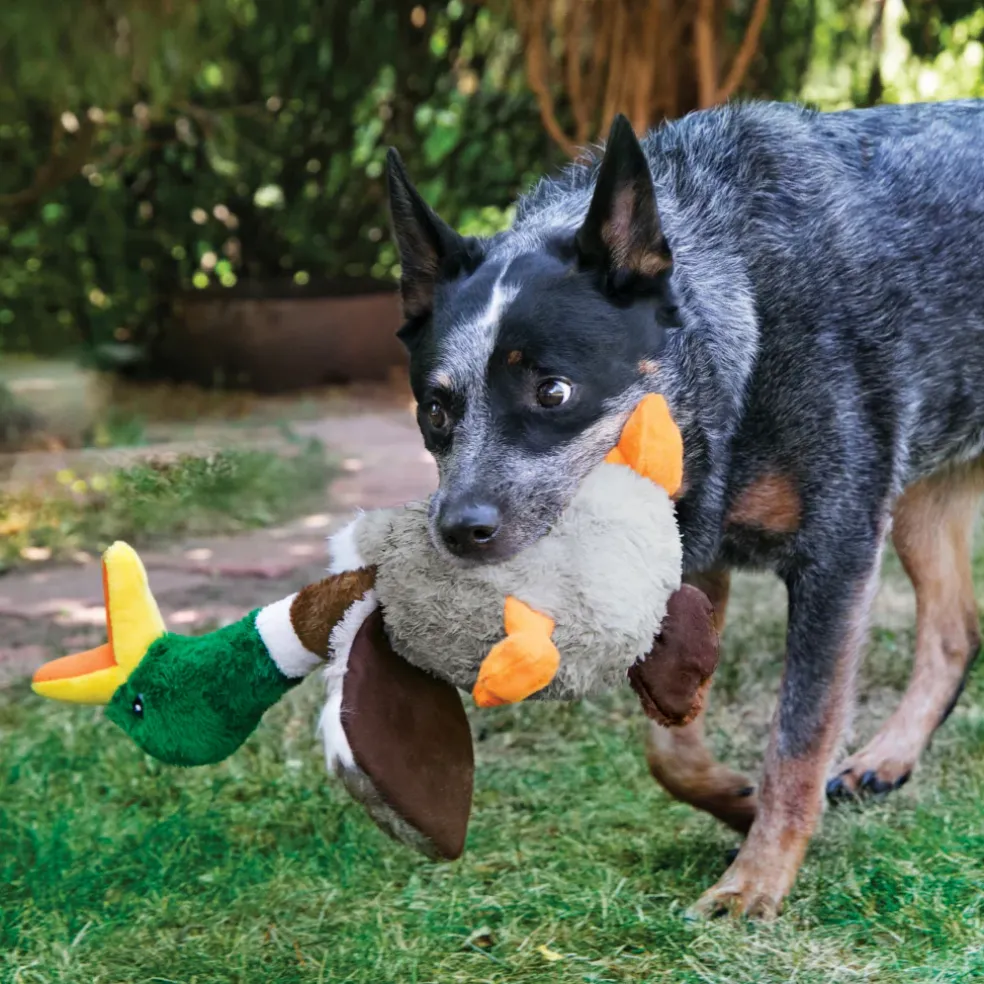 Kong Shakers Honkers Turkey Toy For Dogs (Large)