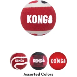 Kong Signature Ball Toy For Dogs - (assorted colors)