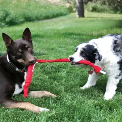 Kong Signature Crunch Rope Toy For Dogs
