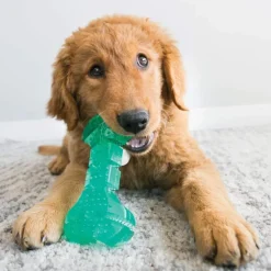 KONG Squeezz Dental Bone Toy for Dogs