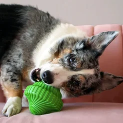 Kong Squeezz Orbitz Ball Toy For Dogs (assorted colors)