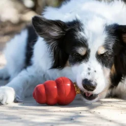 Kong Stuff'N Snacks Liver Crunchy Treats For Dogs