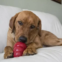 Kong Stuff'N Snacks Peanut Butter Treats For Dogs