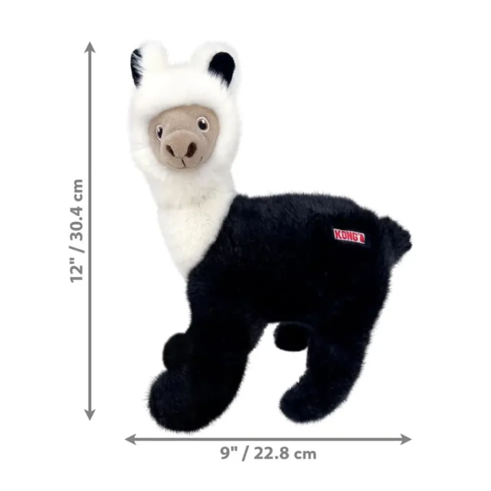 KONG Toughz Dog Toy