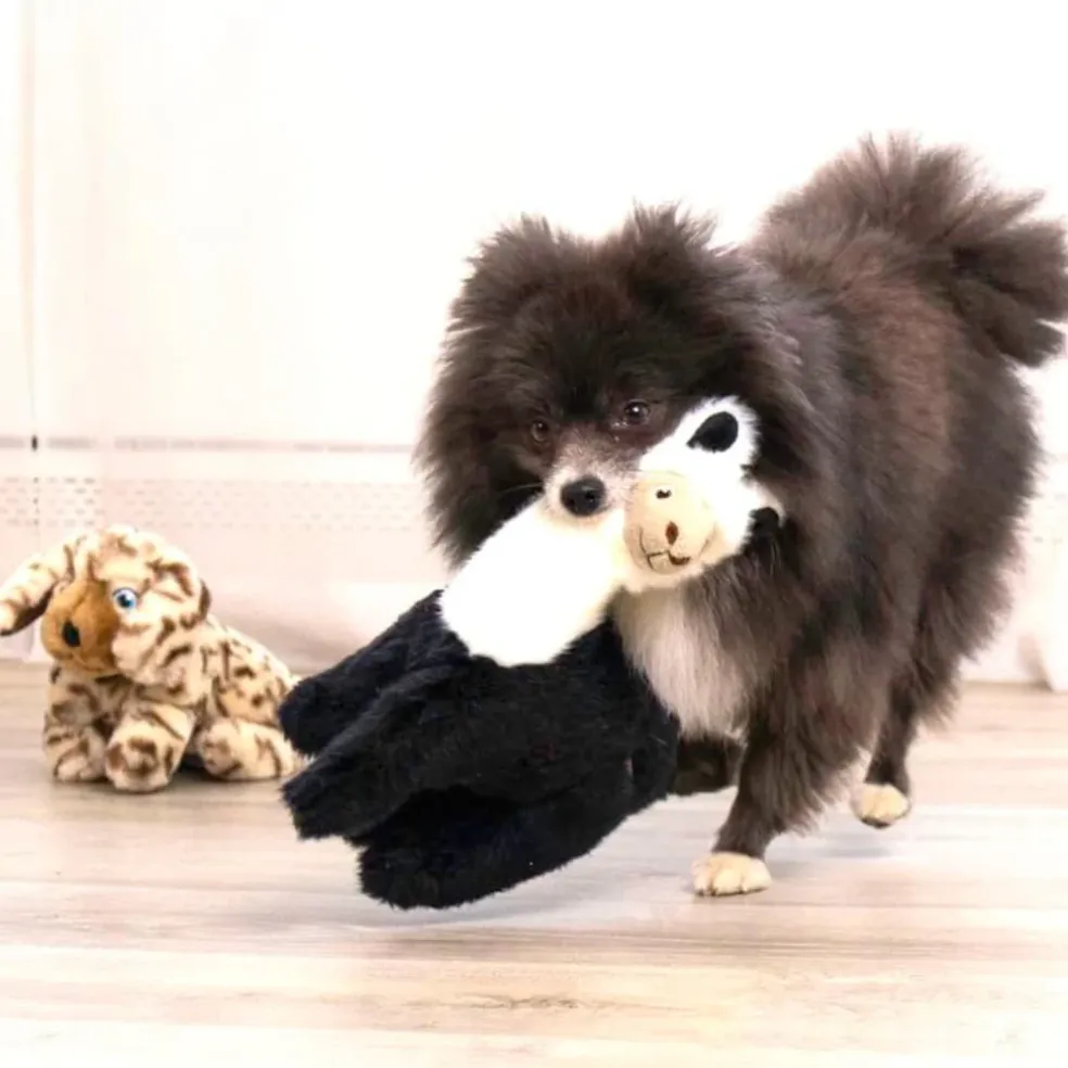 KONG Toughz Dog Toy