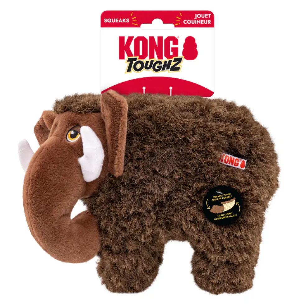 KONG Toughz Dog Toy