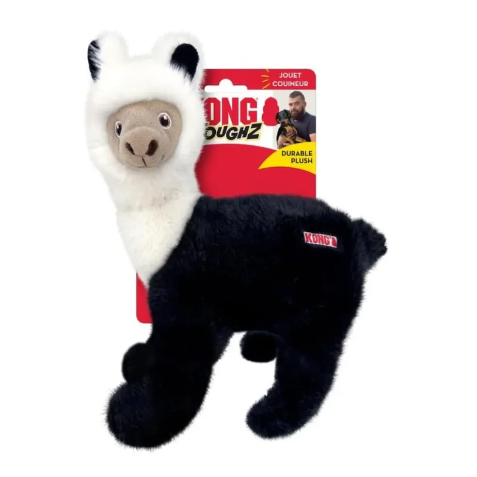 KONG Toughz Dog Toy