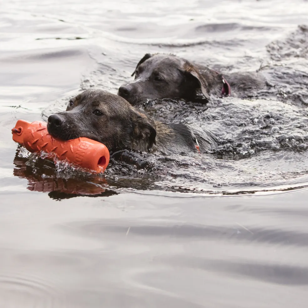 Kong Training Dummy Toy For Dogs